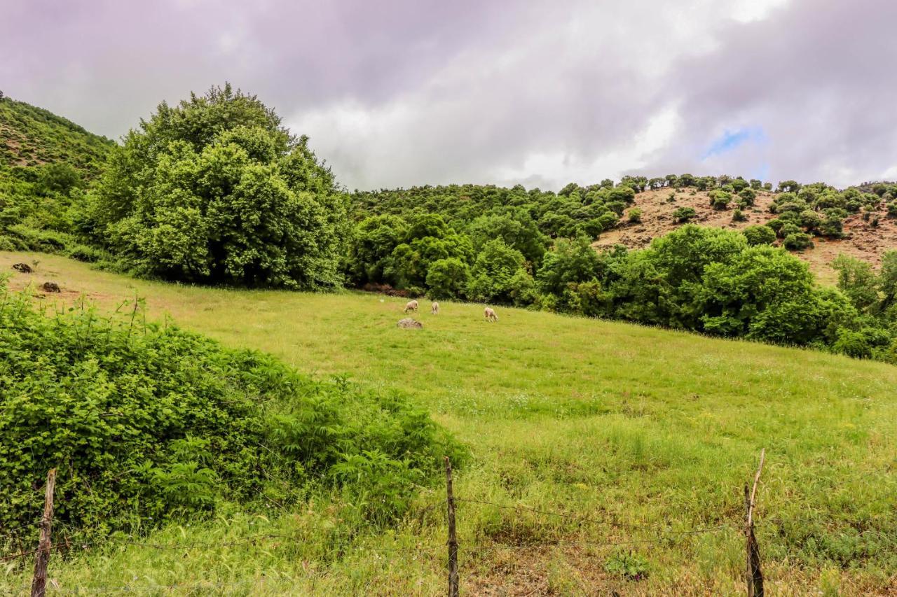 Country Home Genesi 20 Min From Trikala ภายนอก รูปภาพ