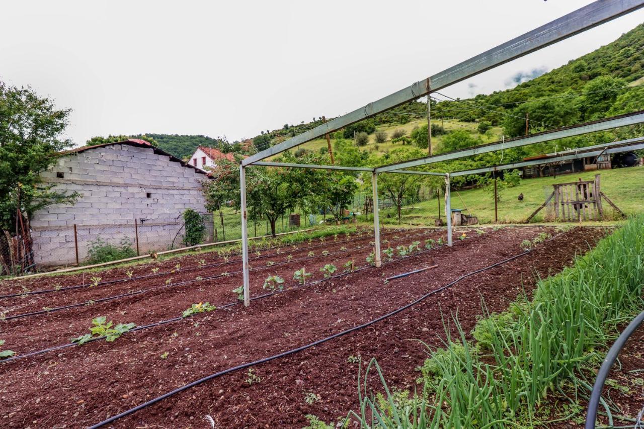 Country Home Genesi 20 Min From Trikala ภายนอก รูปภาพ