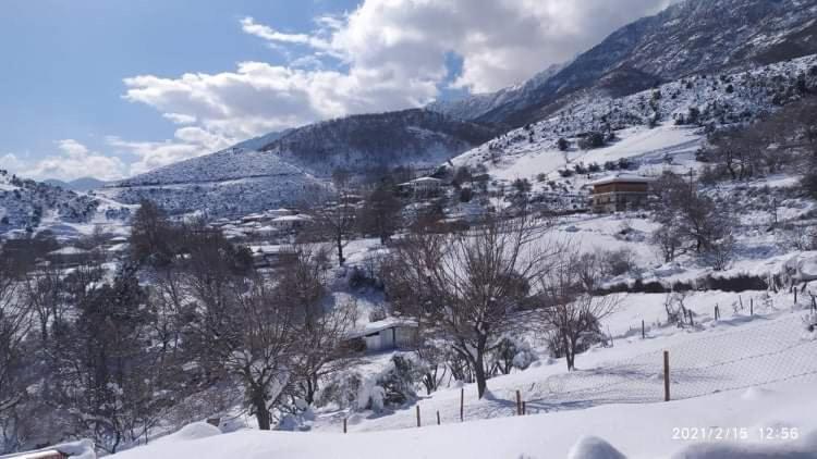 Country Home Genesi 20 Min From Trikala ภายนอก รูปภาพ