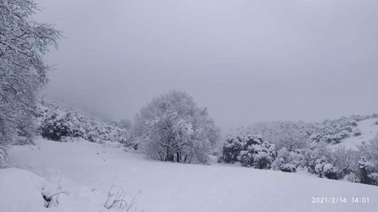 Country Home Genesi 20 Min From Trikala ภายนอก รูปภาพ