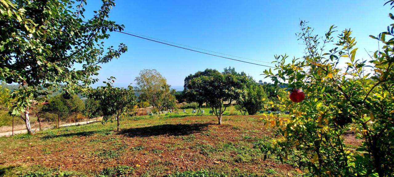 Country Home Genesi 20 Min From Trikala ภายนอก รูปภาพ