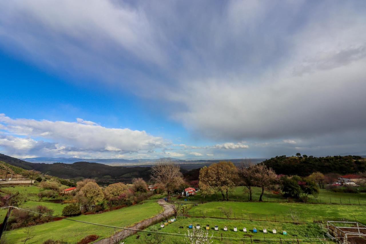Country Home Genesi 20 Min From Trikala ภายนอก รูปภาพ