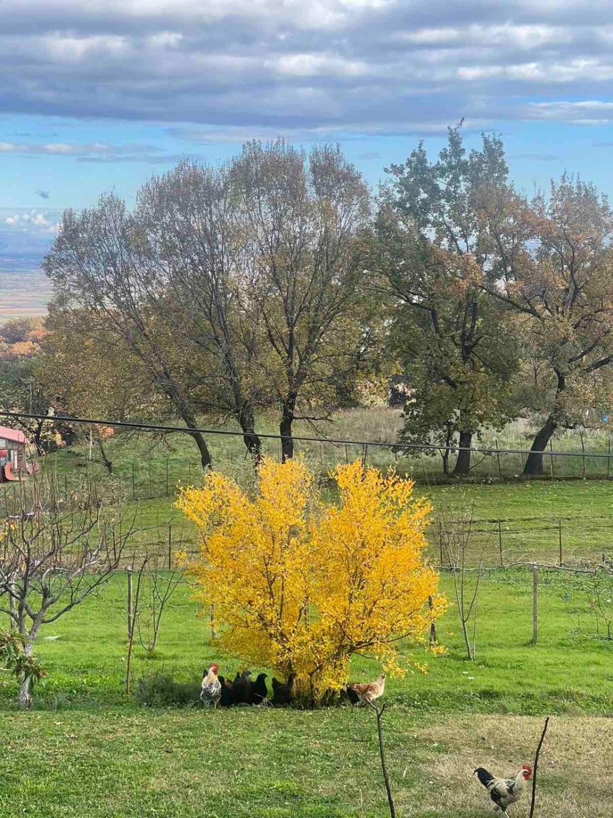 Country Home Genesi 20 Min From Trikala ภายนอก รูปภาพ