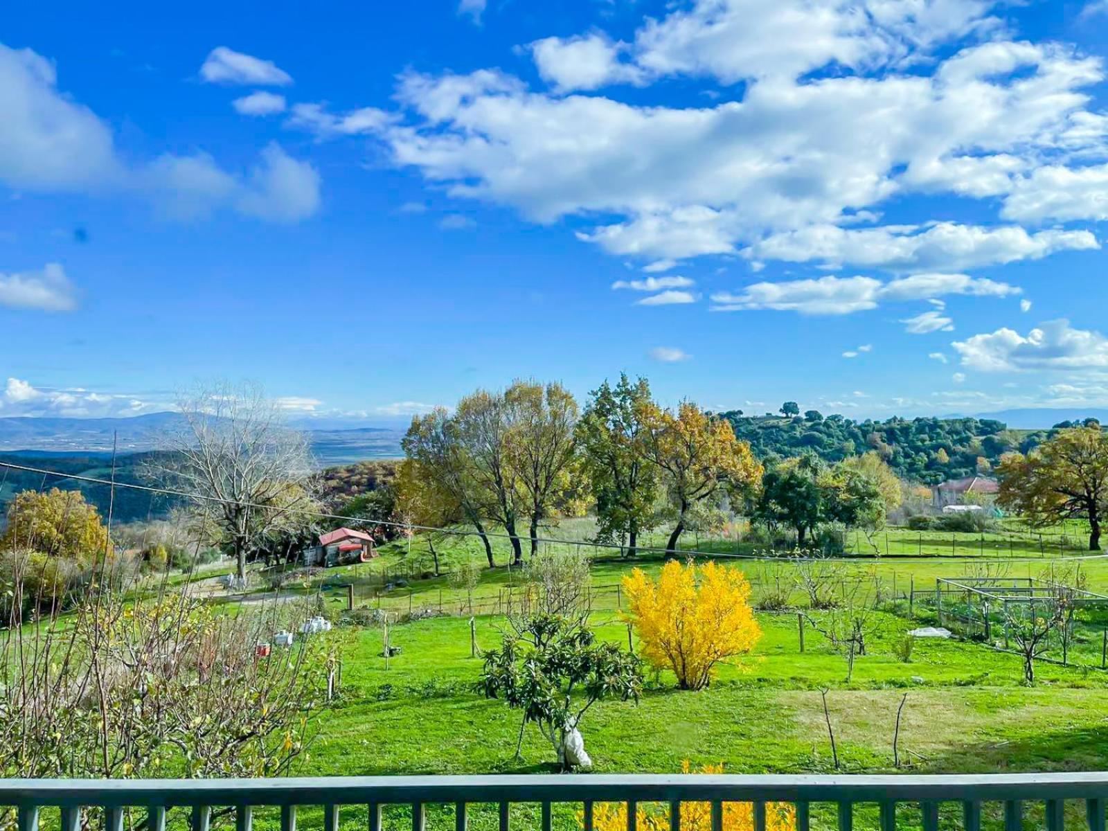 Country Home Genesi 20 Min From Trikala ภายนอก รูปภาพ