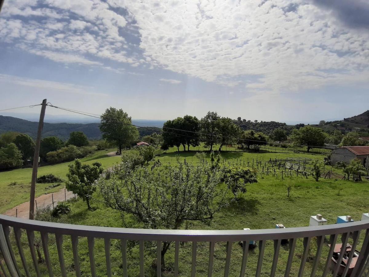 Country Home Genesi 20 Min From Trikala ภายนอก รูปภาพ