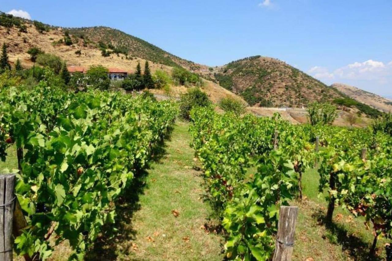 Country Home Genesi 20 Min From Trikala ภายนอก รูปภาพ