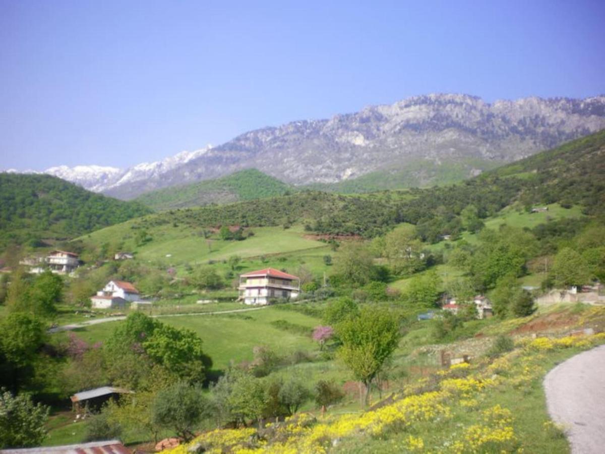 Country Home Genesi 20 Min From Trikala ภายนอก รูปภาพ