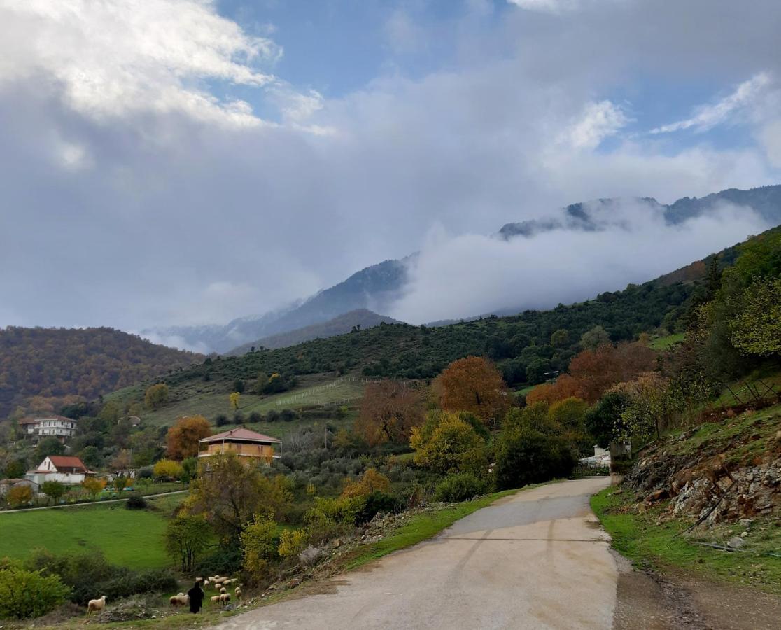 Country Home Genesi 20 Min From Trikala ภายนอก รูปภาพ